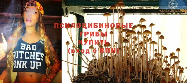 гашик Медногорск