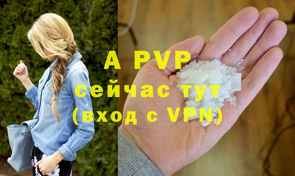 гашик Медногорск