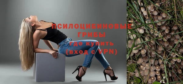 молекула духа Магадан