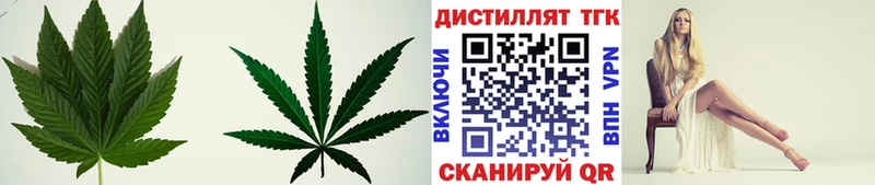 ТГК концентрат  закладка  Нижний Ломов 